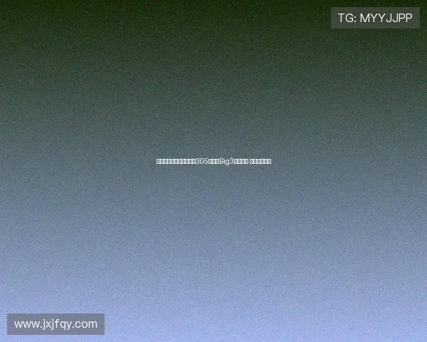 查尔莫斯绝杀助力迈阿密305队夺得Big3联赛冠军 荣获百万奖金